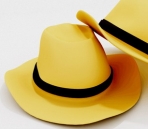 3D Models of  Cowboy hats
