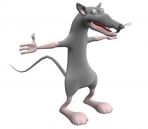    animals 3-mouses