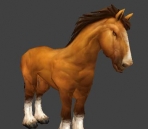  horses animals 39-4