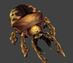   Beetles  animals  40