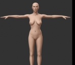 Two human model