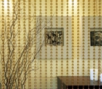 Beautiful curtain of glass beads