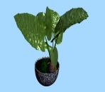  Indoor bonsai model