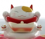 Lucky cute cat