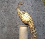Stainless steel sculpture - Peacock