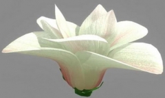 Magnolia 3D models (mb format, with map)