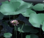 Lotus Leaf with lotus 3D model (with map)