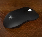 The mouse (with map)