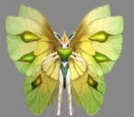 3D Model of butterfly Wizard