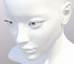Refined model of the female head (mb, mtl format)