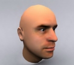 Male head model
