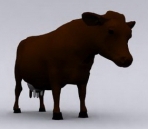 3D Model of Cow