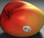 Delicate fruit Model 2