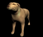 Yellow Dog Model (with map)