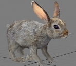 3D model of a small hare