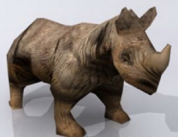 Rhinoceros