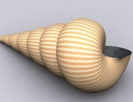 Conch