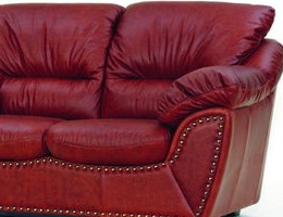 Typical leather love seat
