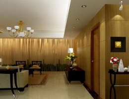 conciseness and luxurious living room