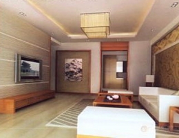 conciseness living room
